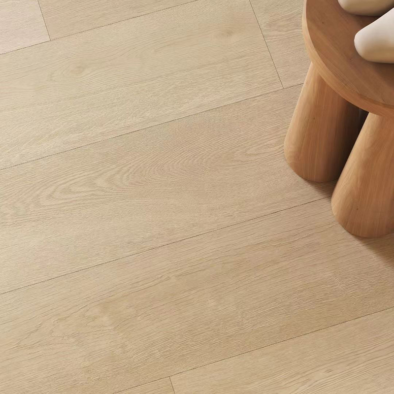 林岚 Lignum